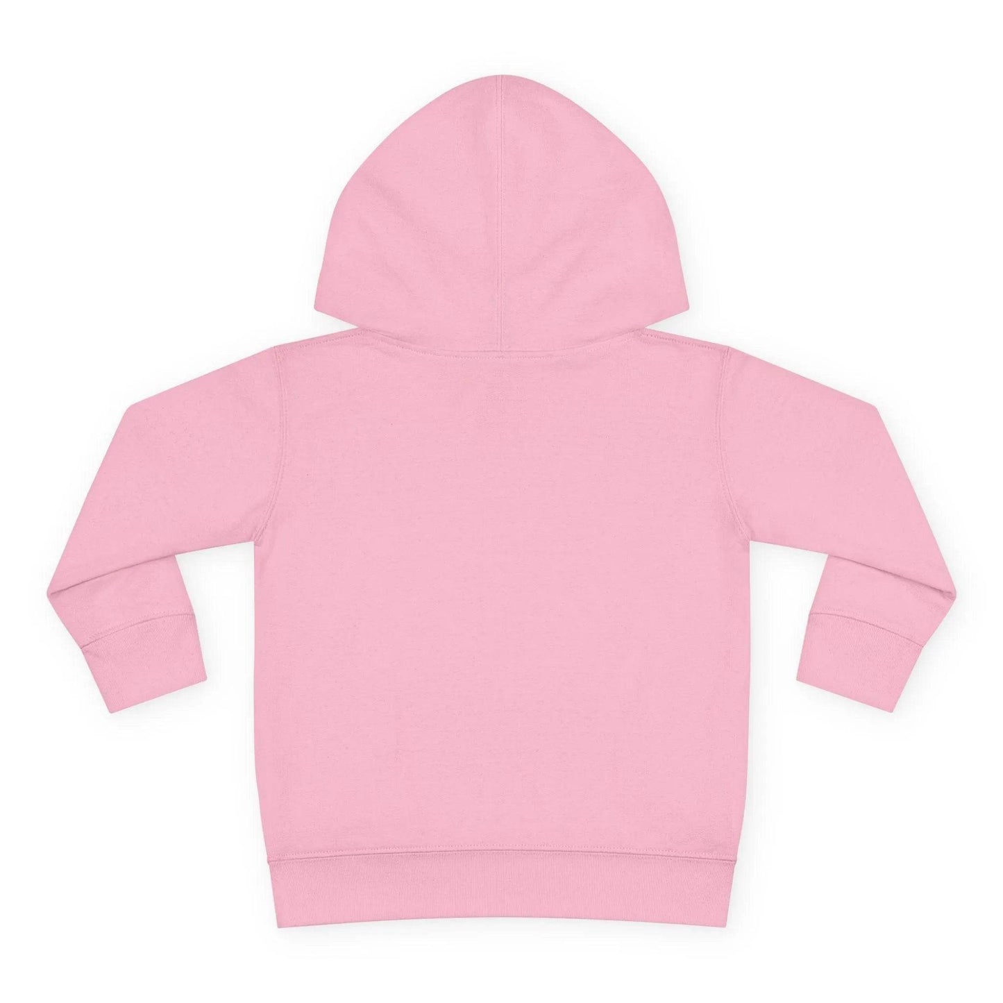 Beesmoove Logo R Pullover Fleece Hoodie - Beesmoove