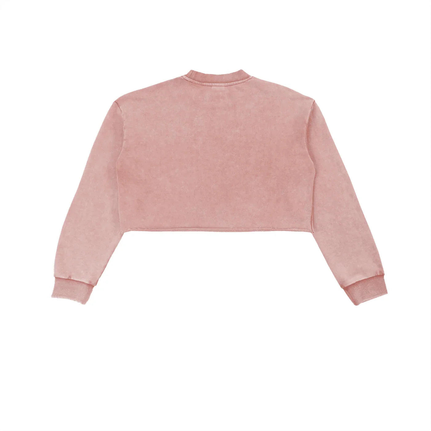BEESMOOVE BlackSouth Collective
Washed Raw Edge Cropped Sweatshirt - Beesmoove