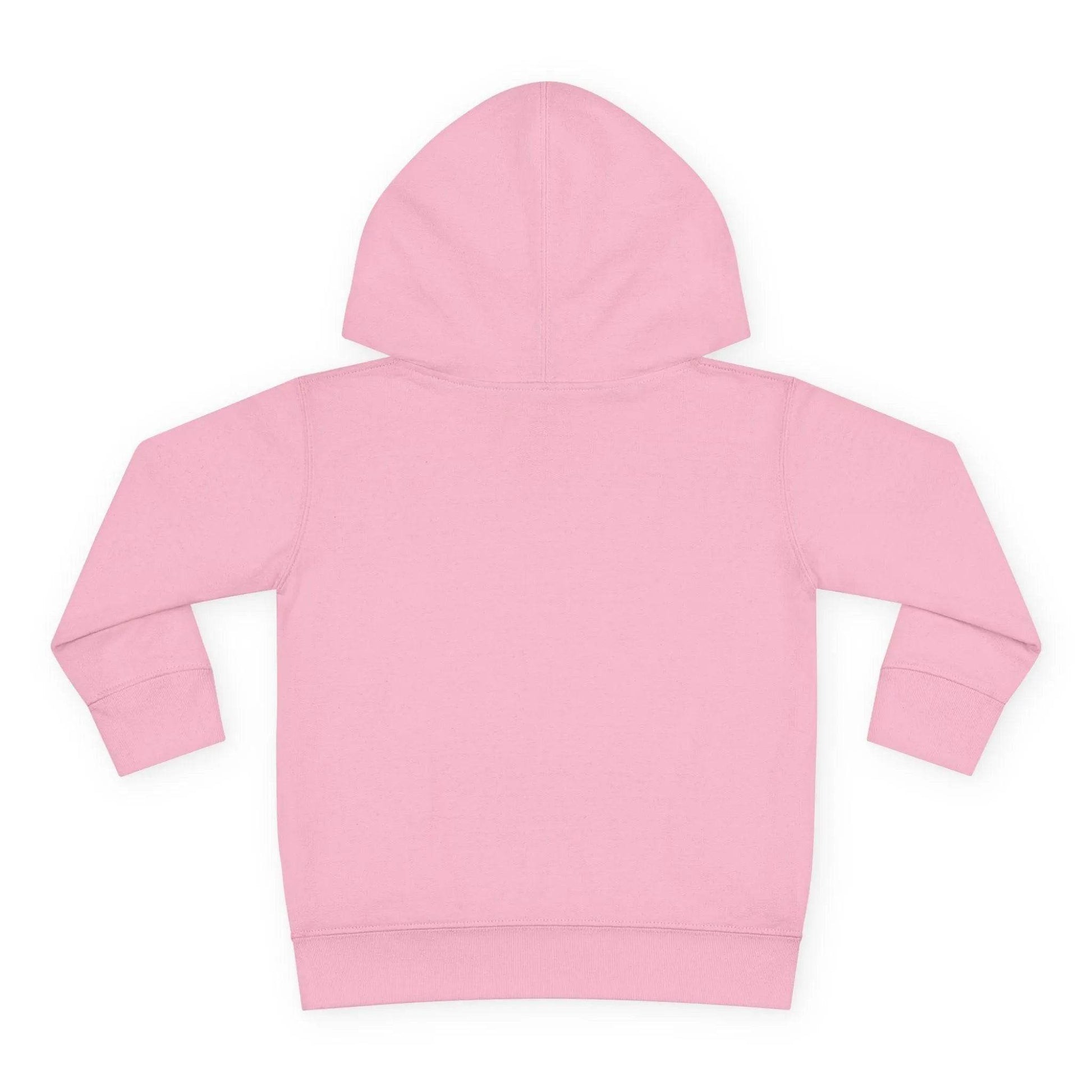 Beesmoove Logo R Pullover Fleece Hoodie - Beesmoove 