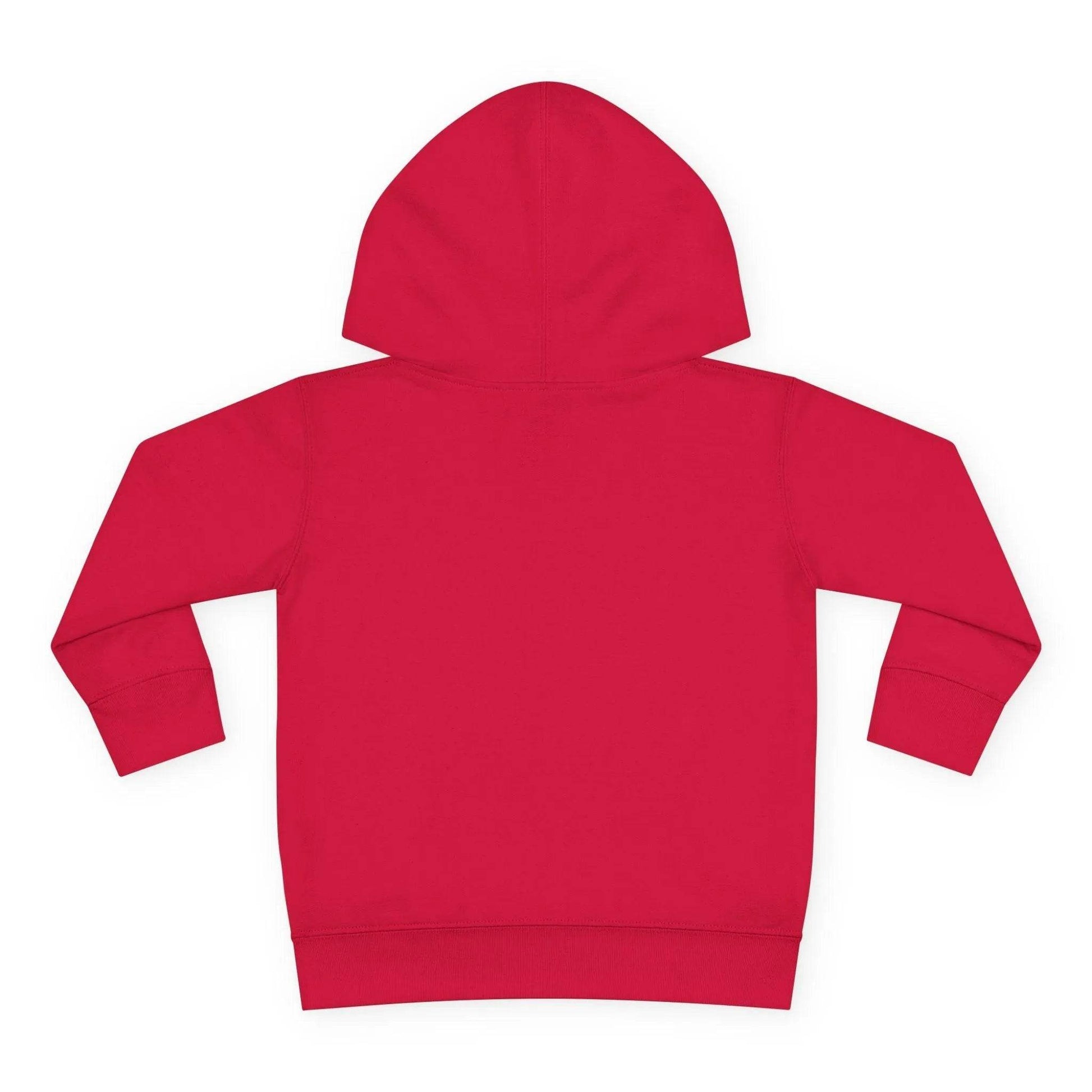 Beesmoove Logo R Pullover Fleece Hoodie - Beesmoove 