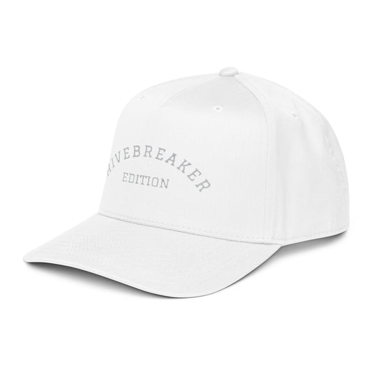 BEESMOOVE Hivebreaker Edition gray panel cap - Beesmoove 