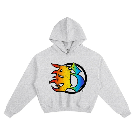 BEESMOOVE frequent rainbow Boxy Hoodie - Beesmoove 