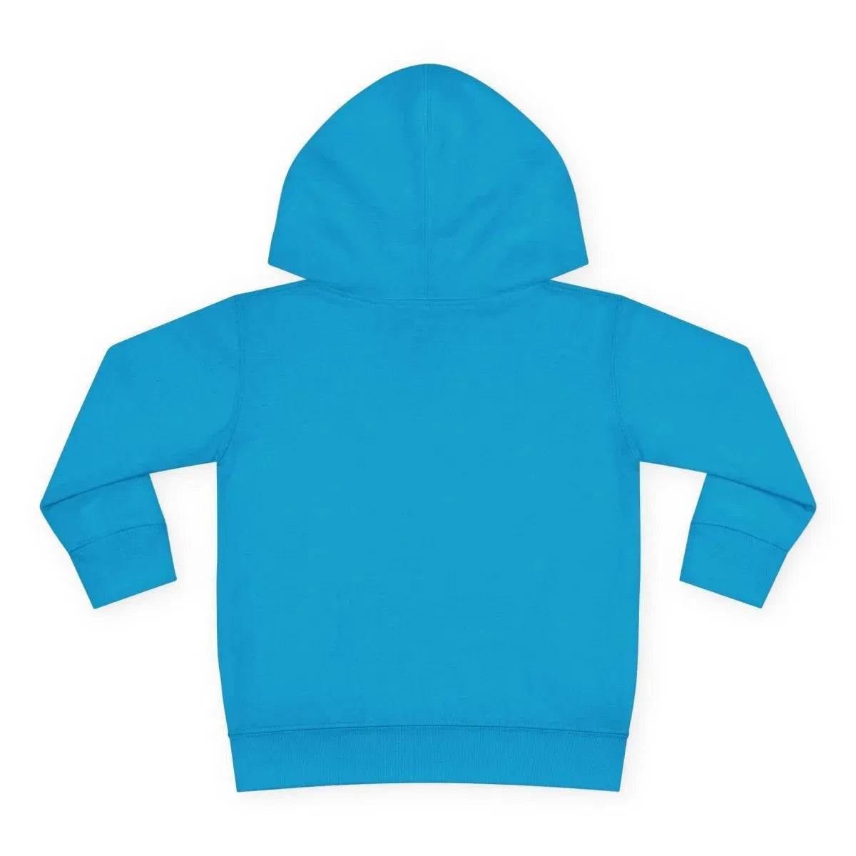 Beesmoove Logo R Pullover Fleece Hoodie - Beesmoove 