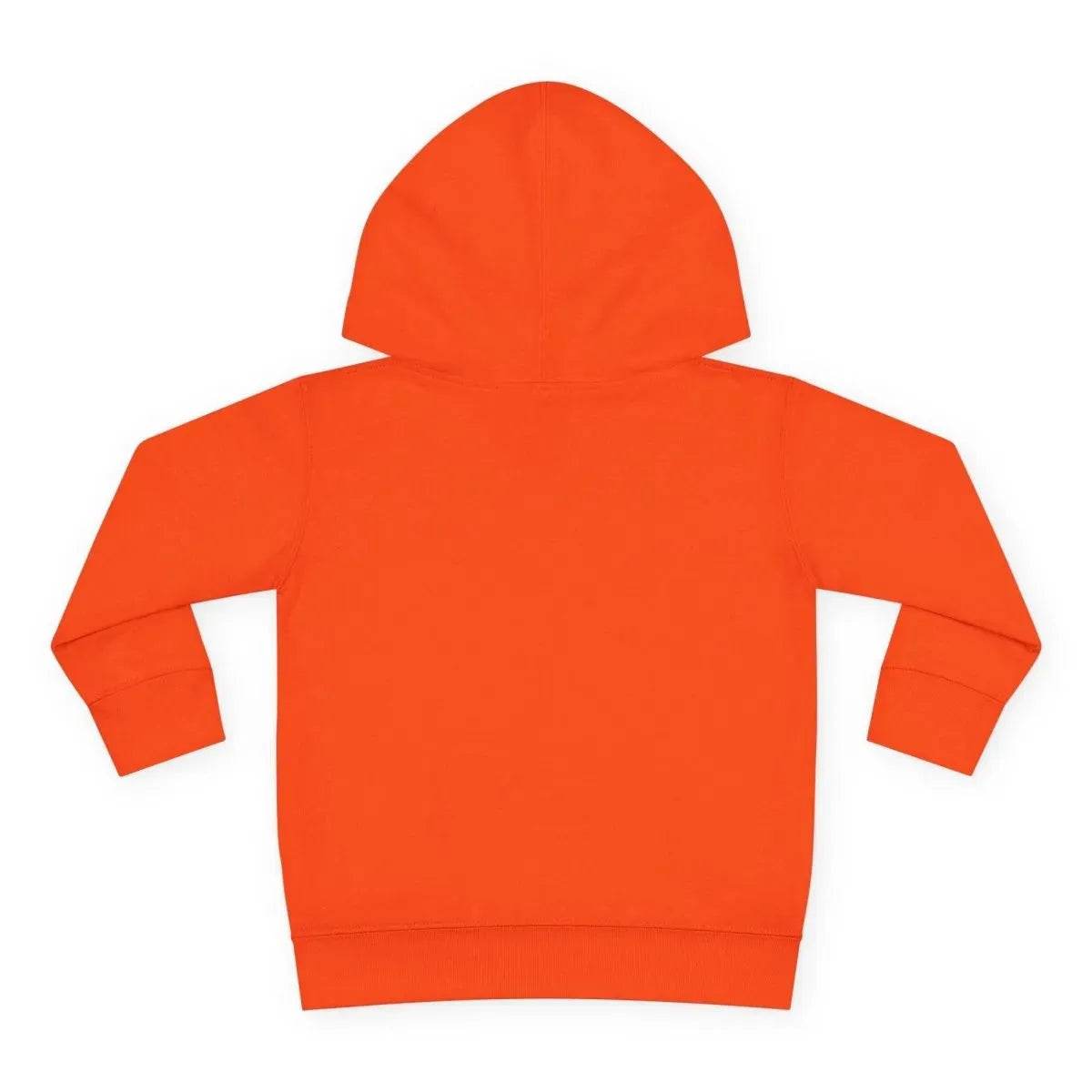 Beesmoove Logo R Pullover Fleece Hoodie - Beesmoove 